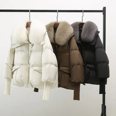 85597581672830